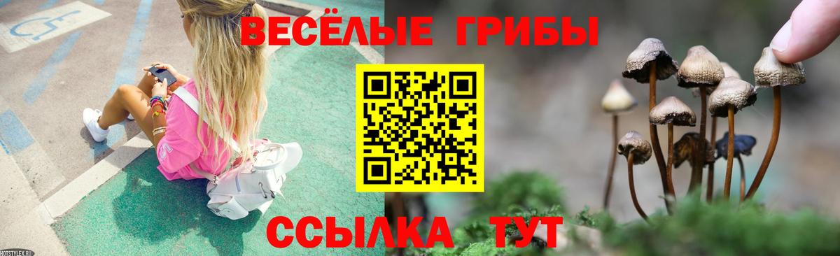 Галлюциногенные грибы прущие грибы  хочу наркоту  Усолье-Сибирское  Вход с VPN 